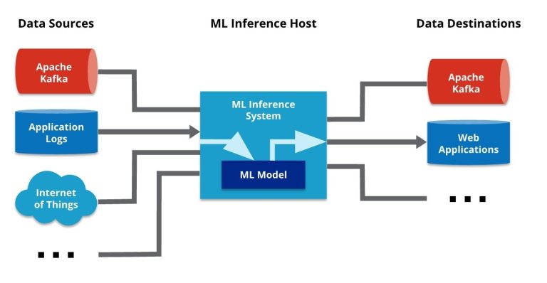 Understanding the Inference Process from Input to Output